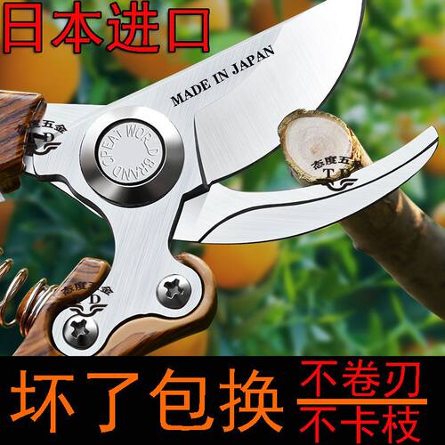 日本进口园林修枝剪原装SK5果树剪刀家用剪树枝剪子新款强力枝剪