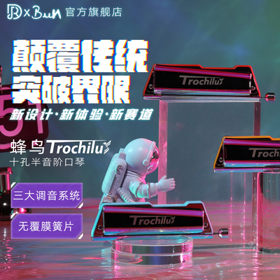 蜂鸟Trochilus10孔半音布鲁斯琴