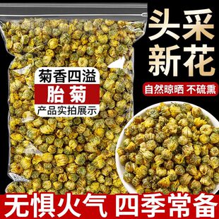 代用茶菊花茶自然晾晒无硫头采新花四季常备中药材养生茶