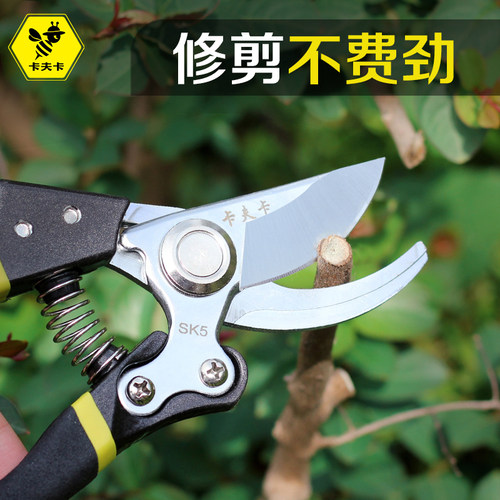 果树家用园艺强力神器修枝剪刀