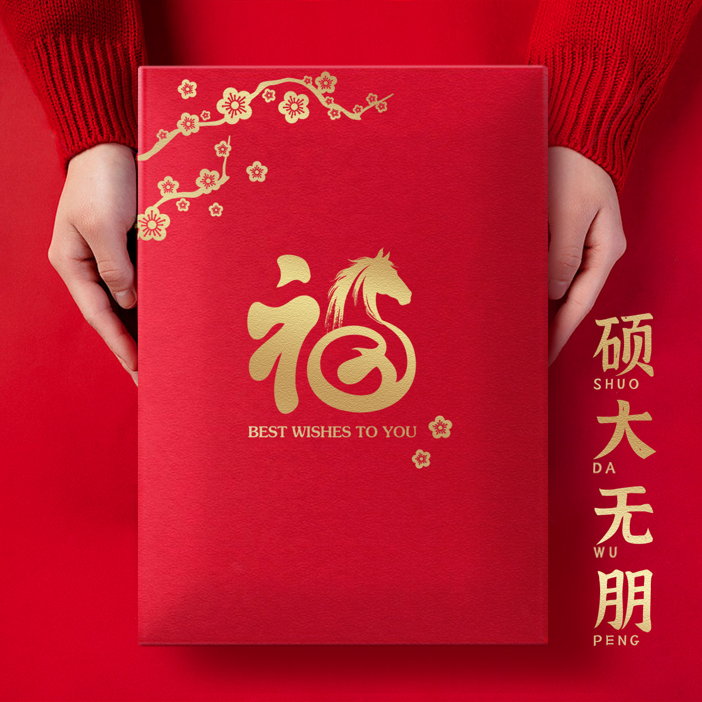 超大容量可装5-10万元