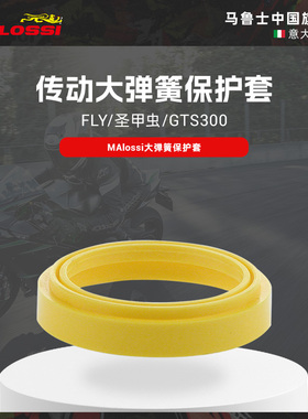 Malossi马鲁士FLY圣甲虫gts300传动大弹簧保护套扭力加速控制器