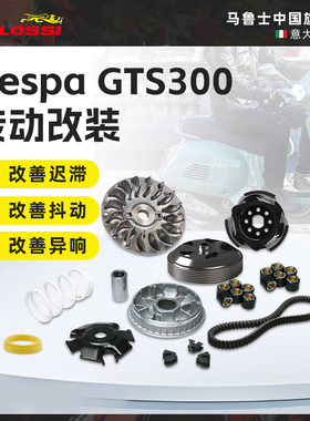 Malossi马鲁士 阿普利亚SRmax250维斯帕Vespa GTS300改装传动套装