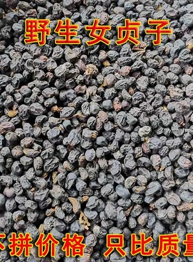 山区野生女贞子药材正品天然野生女贞子茶男人泡酒冬青树籽包邮