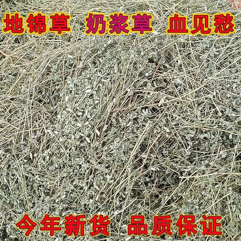 中药材地锦草新货奶浆草血见愁铺卧蛋草血风草奶汁草新货野生干货