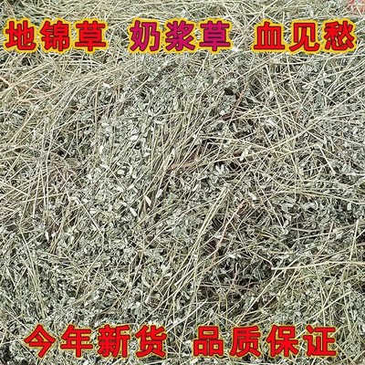 中药材地锦草新货奶浆草血见愁铺卧蛋草血风草奶汁草新货野生干货