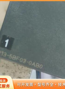 SIMATIC  S7-300 /CPU313C 313-p