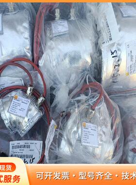 HORST GmbH，D-64653 Lorsch 管道加P