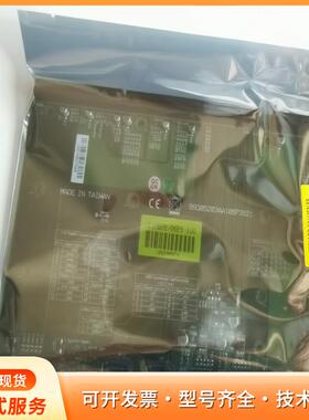 (R) PBPE-06P3  100板子P