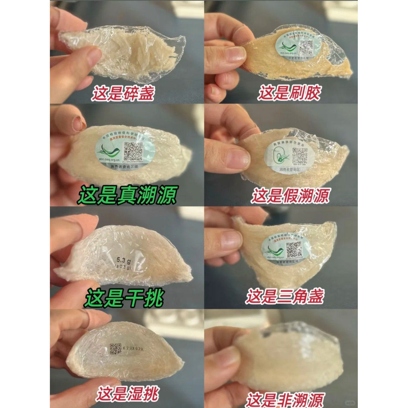 燕窝鉴定 印尼国标溯源码马来燕窝越南洞燕大燕盏孕妇泰国金丝燕