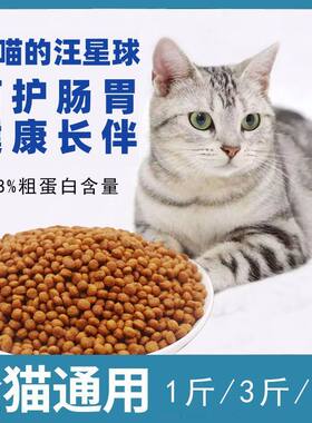 流浪猫全价宁波美毛增肥美短蓝猫