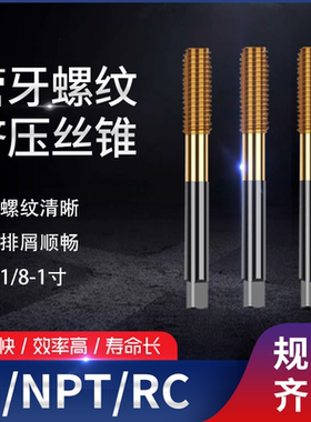 不锈钢挤压管牙管螺纹丝锥BSPP RP PF BSP RC NPT G1/8 1/4 1/2