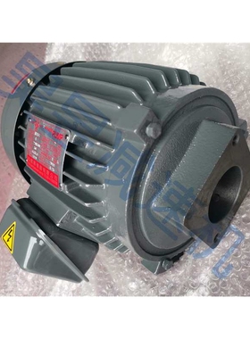 志观精机厂油泵电机 TK3 TK2 TEEC 三相卧式液压油泵马达 TK15010