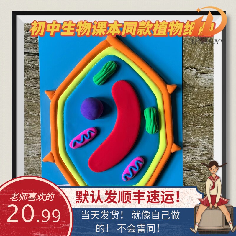 生物真核细胞模型初高中手工动物植物材料包成品dna双螺旋结构模