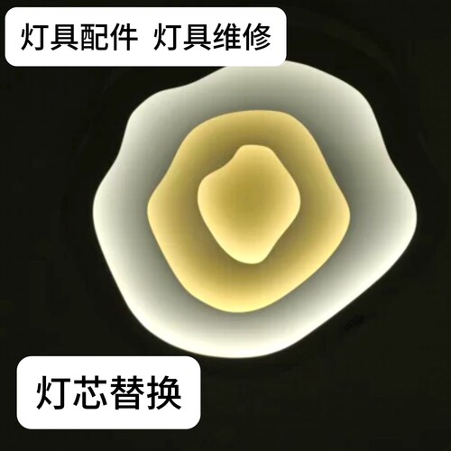 维修加亮卧室吸顶灯灯芯替换灯条加软灯带侧发光22厘米透镜灯条