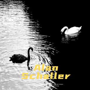 Alan Schaller 黑白街头摄影光影艺术摄影审美提升素材