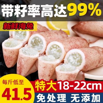 海兔子满籽新鲜乌贼满籽率99%