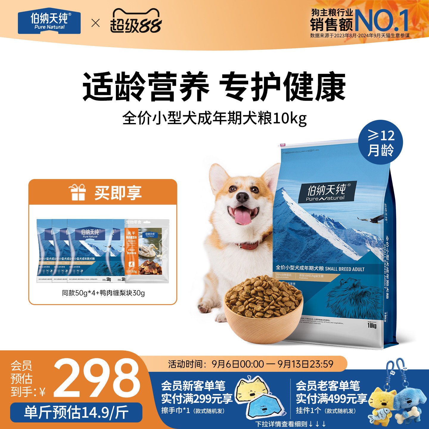 伯纳天纯经典柯基博美法斗小型犬图片