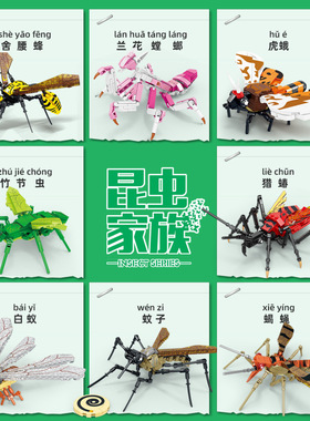 开智80056昆虫家族螳螂蜜蜂虎蛾竹节虫组装模型儿童拼装积木玩具