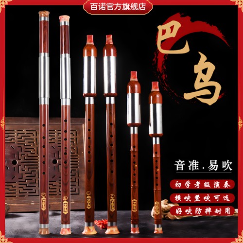 竖吹横吹巴乌初学者乐器