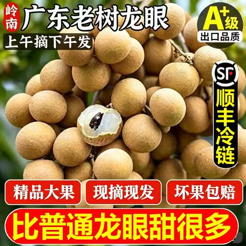 顺丰秒发新鲜龙眼超甜大果整箱
