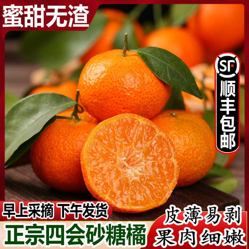 正宗四会砂糖橘10斤新鲜沙糖桔子当季蜜柑沃橘纯甜无渣顺丰包邮