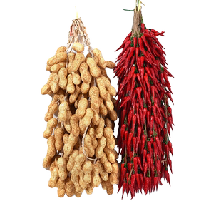 仿真水果蔬菜串假红辣椒玉米大蒜花生农家乐庭院饭店挂串装饰道具