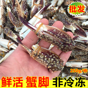 野生鲜活梭子蟹蟹脚大号蟹腿大红钳花蟹脚醉蟹脚满就包邮250g