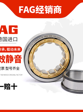 进口FAG轴承NJ2310 2311 2312 2313 2314 2315E-XL-TVP2-M1-C3
