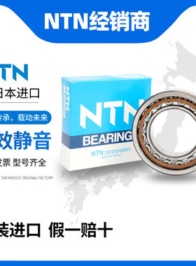 NTN日本进口圆柱滚子轴承NU244 NU248