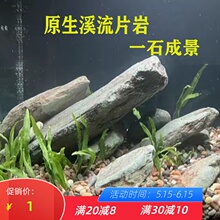 鱼缸造景石溪流石岩片铺底石造景乌龟爬宠晒台躲避假山千层片岩石