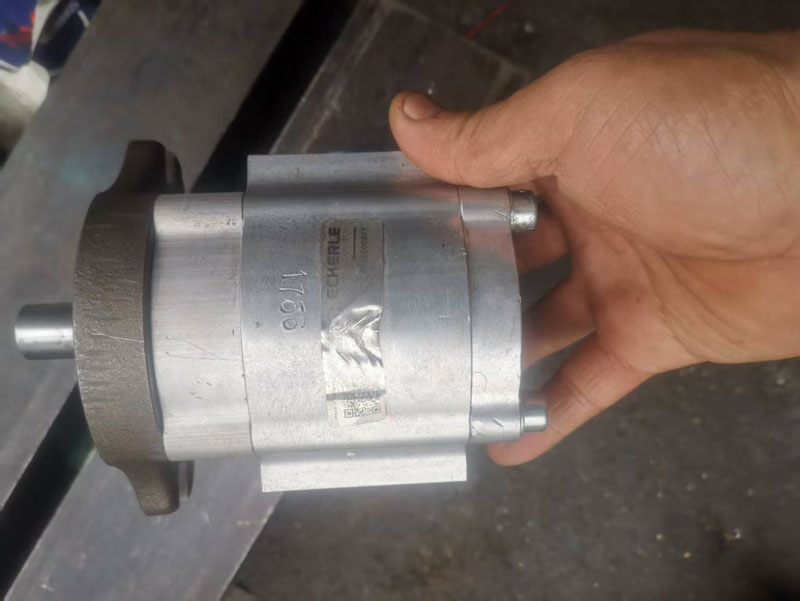 德国原装艾可勒EIPS2-019注塑机油泵维修 伺服齿轮泵修理配件