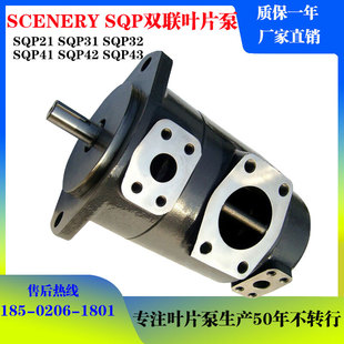 86BB双联叶片泵 SCENERY塞纳瑞油泵SQP43