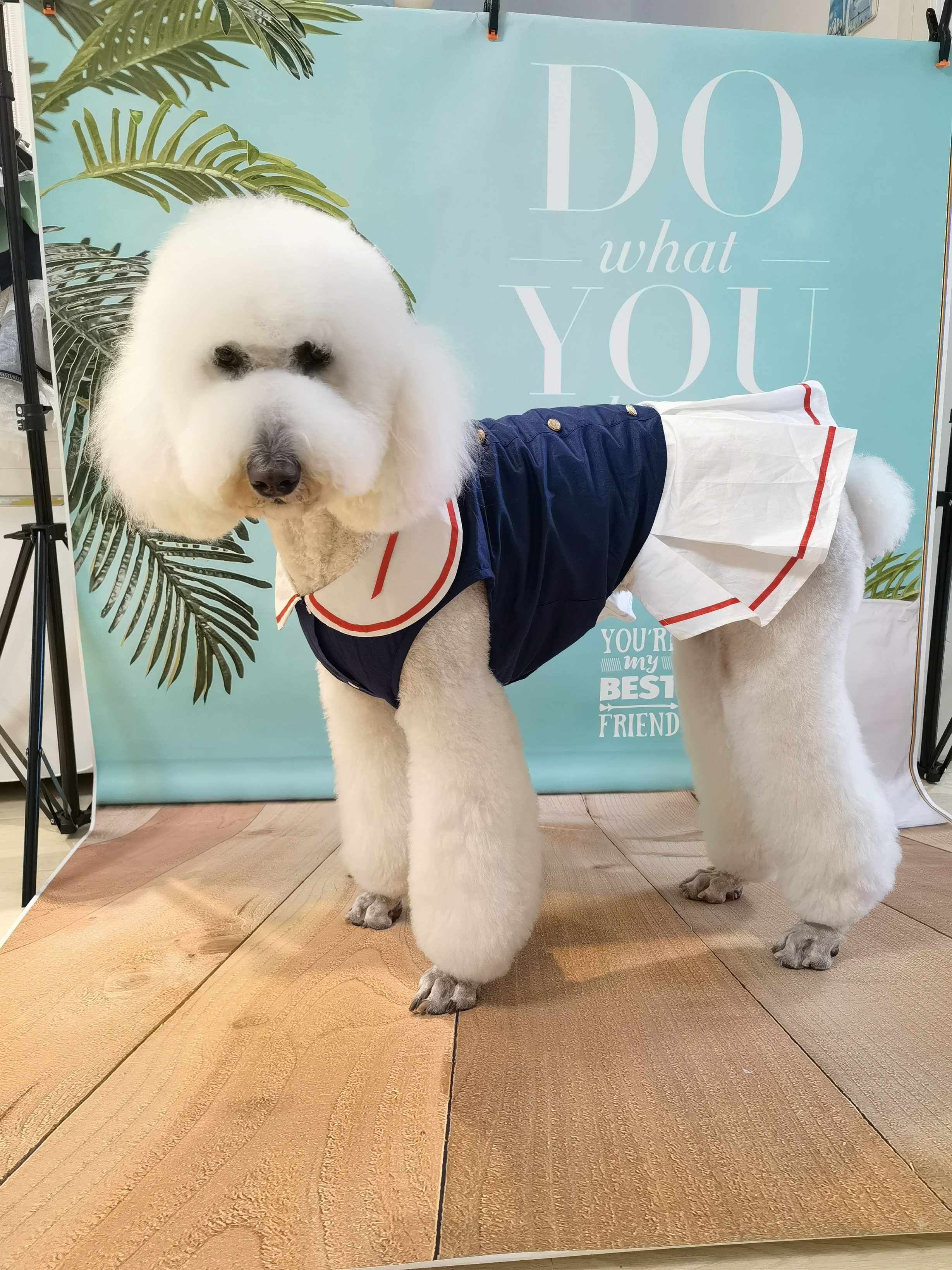 宠物狗服装纸样泰迪法斗比熊连衣裙学院裙子图纸博美巨贵衣服模板