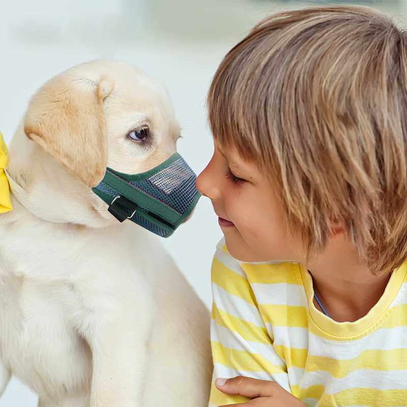 波奇网TARKY 狗狗嘴套防叫可调网布狗口罩防咬防止异食啃土防乱吃