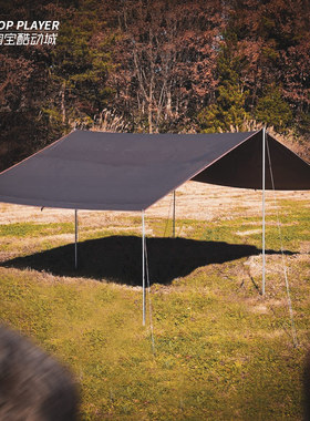 Snow Peak雪峰Recta Tarp户外露营防水防晒方形天幕组M号 TP-841H