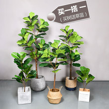北欧仿真绿植大叶琴叶榕盆栽客厅室内大型植物简约装饰假树龟背竹