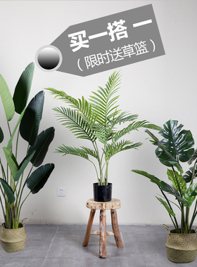 优质龟背竹大型客厅装饰仿真植物
