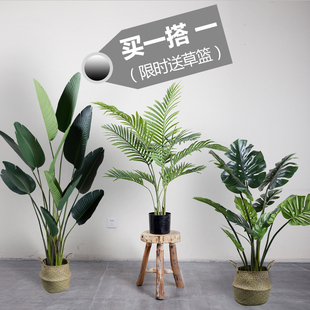 优质北欧仿真植物盆栽龟背竹天堂鸟大型客厅装饰绿植假花室内绿植