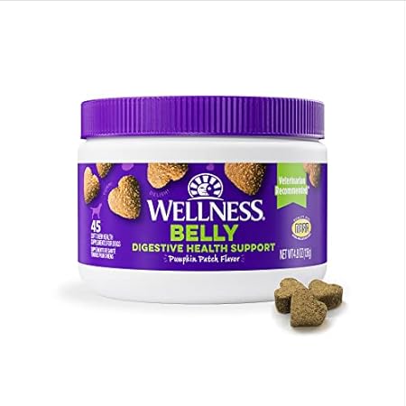 Wellness Pumpkin Patch Flavored Soft Chew Digestive Healt
