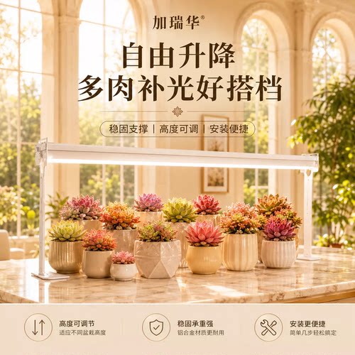 多肉植物补光灯支架T5T8T20LED家用灯管通用型可调节升降立式灯架