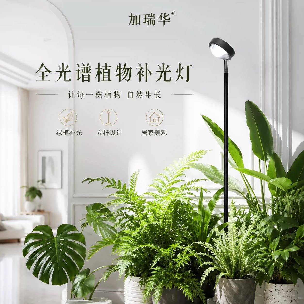 全光谱仿太阳光植物生长灯图片