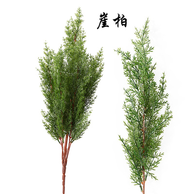 仿真树叶松树叶松针叶子