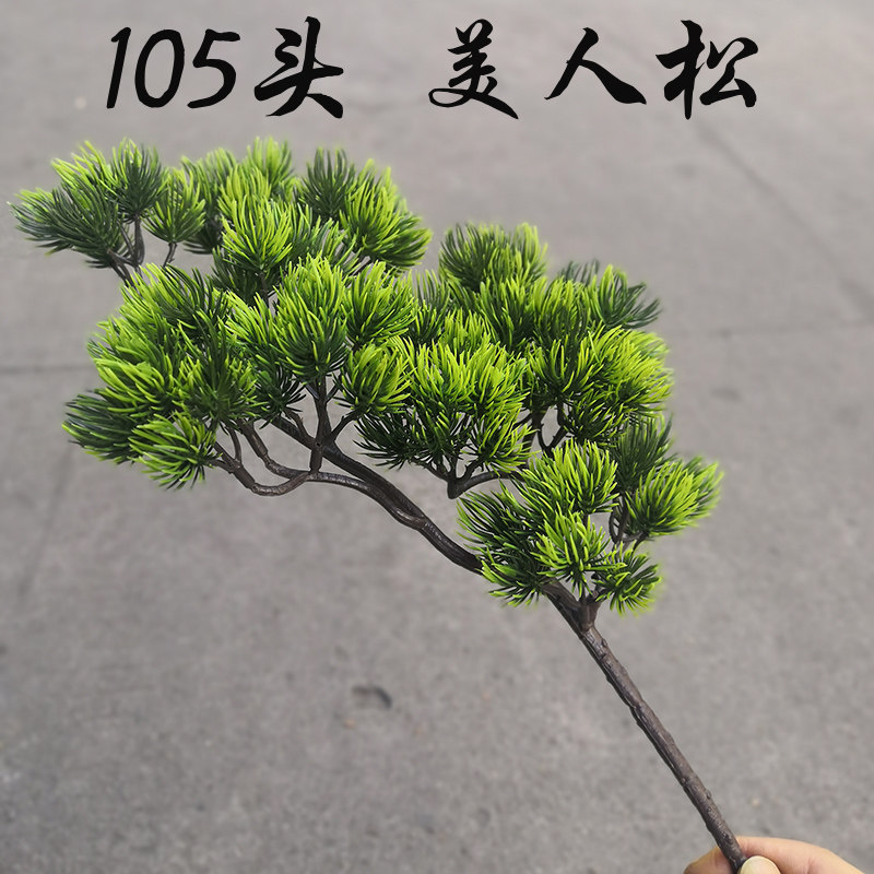 仿真罗汉松美人松假叶松针松树叶仿生树枝模型松树枝装饰叶子松枝