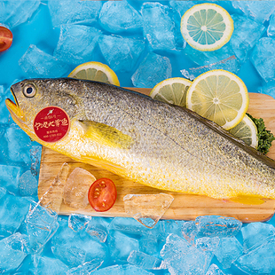 南苑舟山深海大黄鱼海鲜年货礼盒黄花鱼浙江宁波特产过年送礼