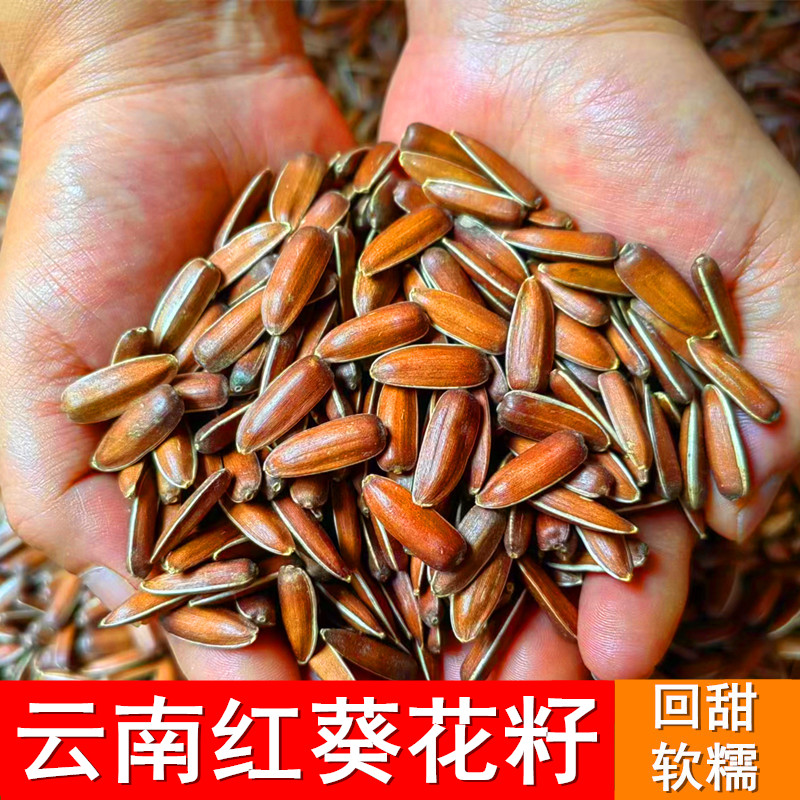 云南特产红皮瓜子生葵花籽原味回甜软糯散装新货休闲零食水果瓜子
