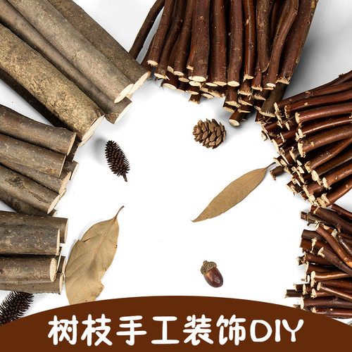 木棍树枝树干手工diy幼儿园环创材料松果自然造景白色原木风装饰