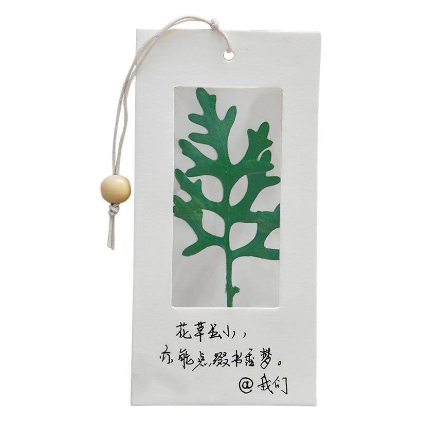 春季学生自制标本干花压花书签手工diy材料包透明植物树叶标本礼,文具电教/文化用品/商务用品,书签,淘宝优惠券,粉丝福利购,淘宝优惠卷