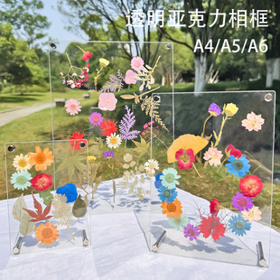 创意手工diy干花压花标本展示标牌 亚克力透明A4A5A6相框押花画框