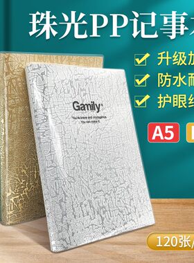 珠光加厚记事本闪光砂胶套本金银笔记本时尚潮流记事日记本 124页